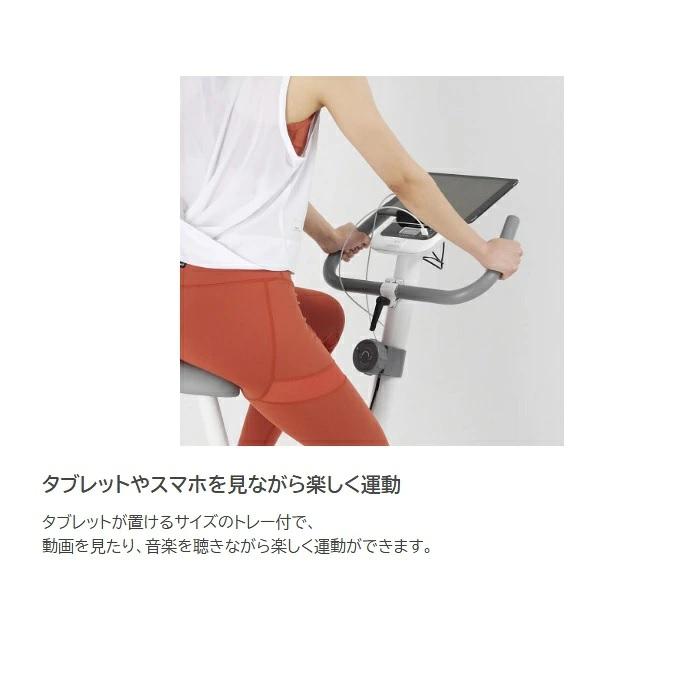 訳あり:メーカー再生品】ALINCO アルインコ チャージワークバイク 