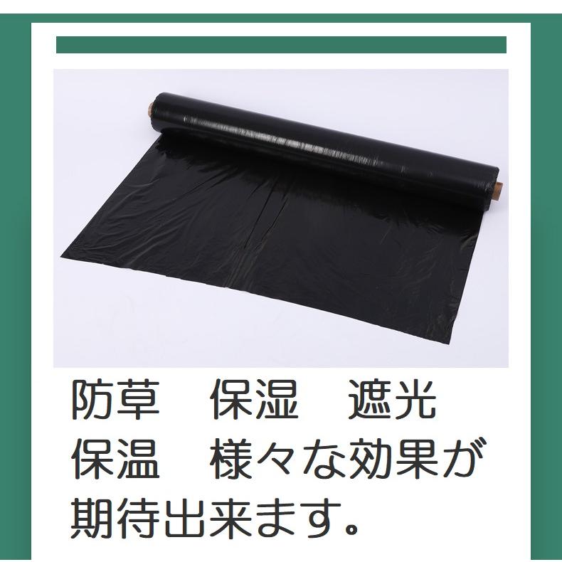 マルチ マルチシート 黒マルチ 防草 薄手 1m×210m ビニールマルチ 幅