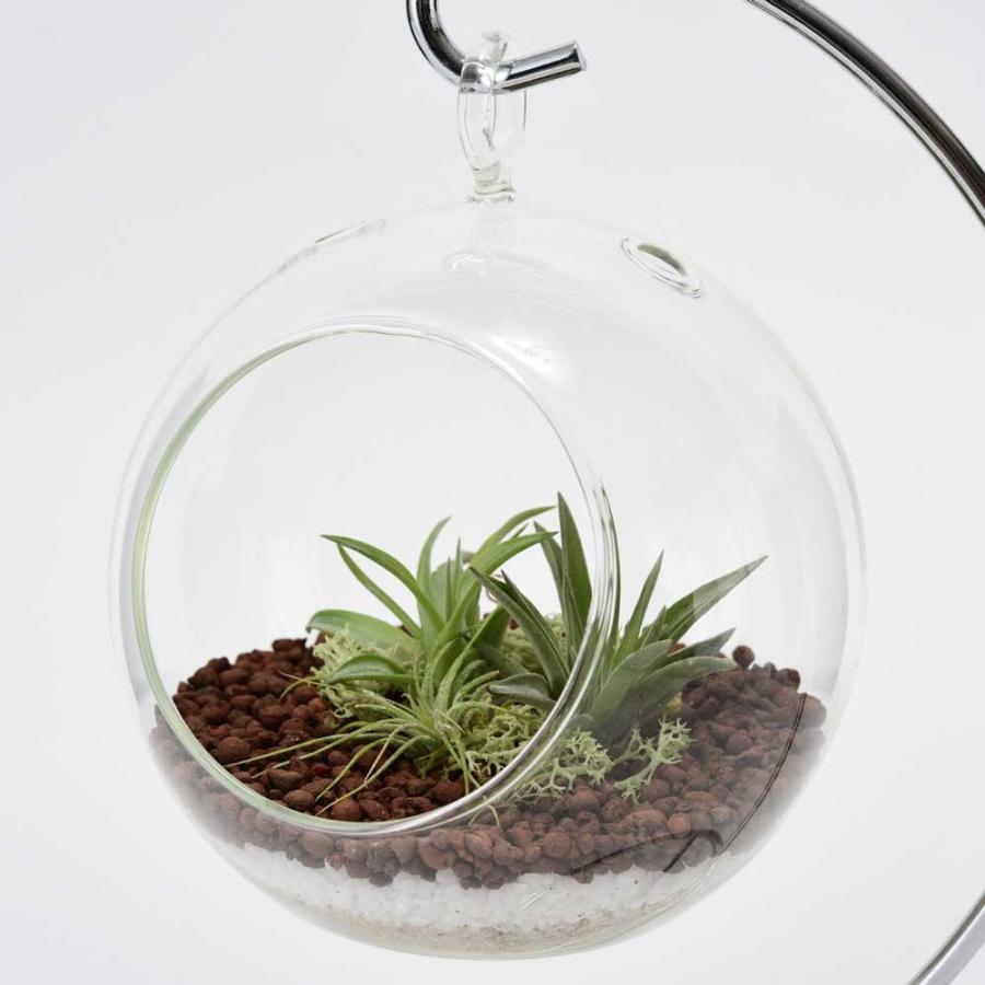 テラリウム ガラスポット ガラス 器 ガラスケース ガラス容器 テラリウム Cha 333 1 雑貨屋フリー 通販 Yahoo ショッピング