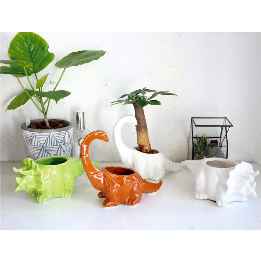 ダイナソーポット ブラキオサウルス グリーン ギフトセット 恐竜 グッズ プレゼント 植木鉢 おしゃれ 室内 小物入れ プレゼント Fn 雑貨屋フリー 通販 Yahoo ショッピング