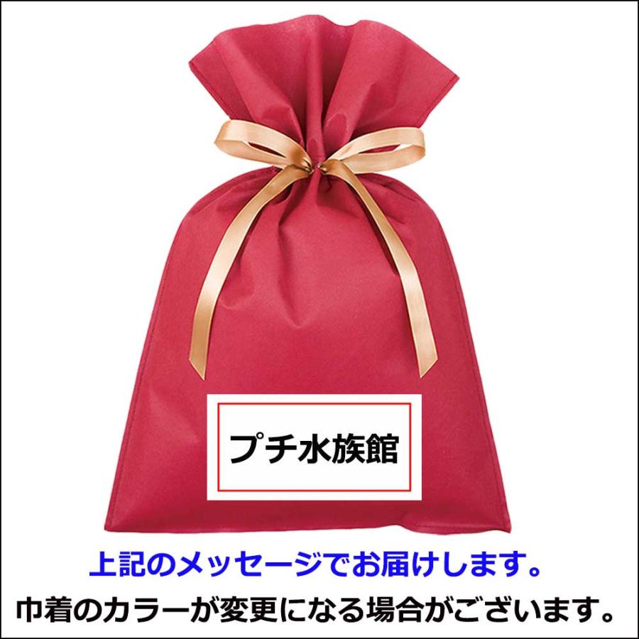 プチ水族館 ジェリーフィッシュ レインボーコースター ギフトセット おもしろ 面白い プレゼント 癒し 誕生日プレゼント ユニーク 雑貨 Fn 雑貨屋フリー 通販 Yahoo ショッピング