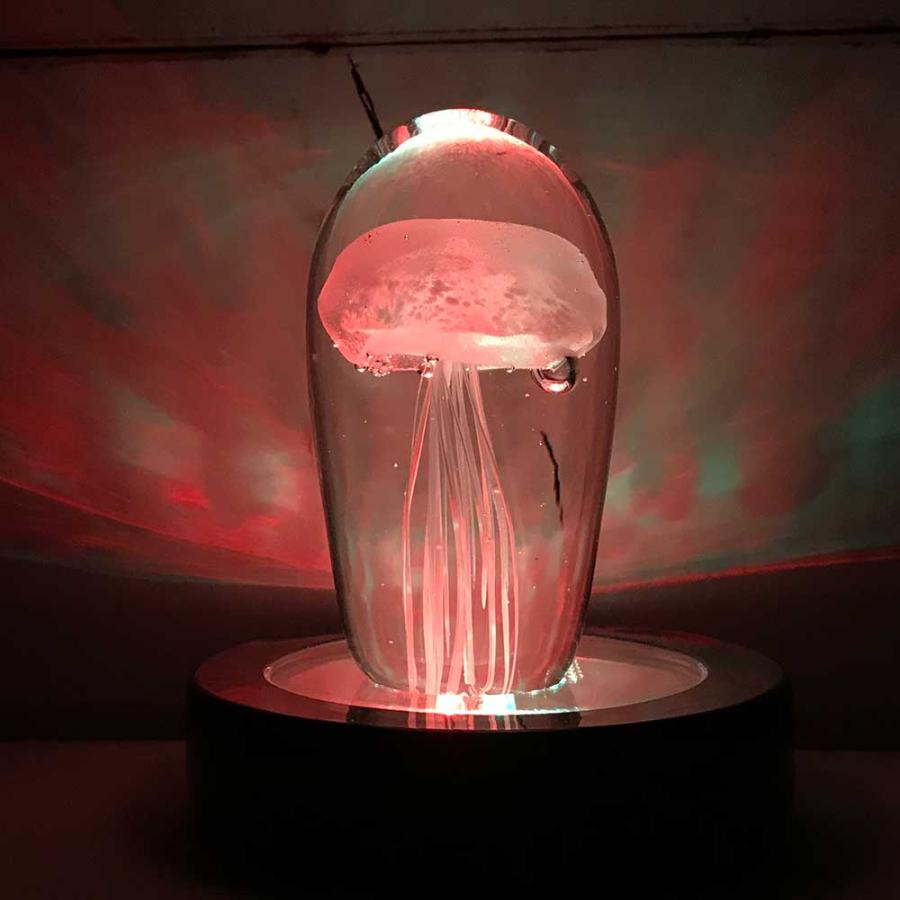 プチ水族館 ジェリーフィッシュ レインボーコースター ギフトセット おもしろ 面白い プレゼント 癒し 誕生日プレゼント ユニーク 雑貨 Fn 雑貨屋フリー 通販 Yahoo ショッピング