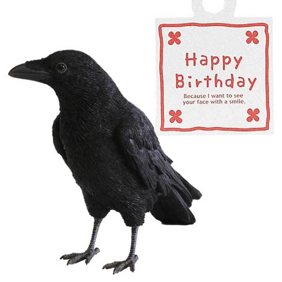 あすつく 送料込 Happy Birthday ペットバンク クロウ Carrion W カラス 置物 誕生日 プレゼント ギフト Fn 雑貨屋フリー 通販 Yahoo ショッピング