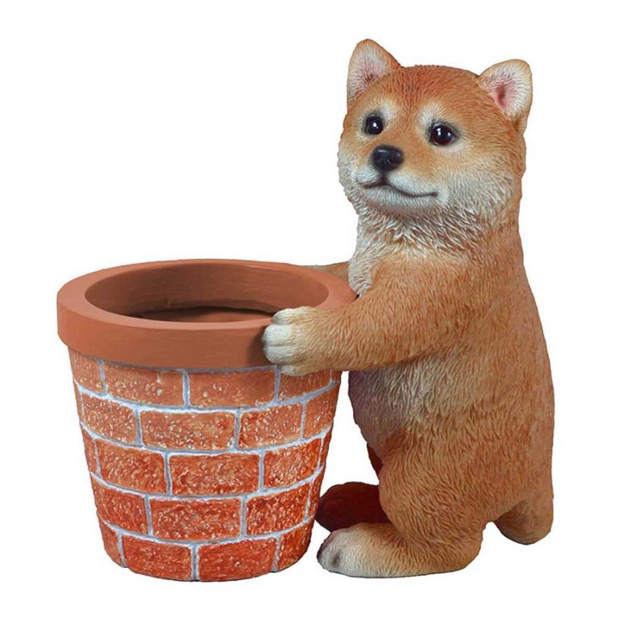 荒らす 百科事典 接続された 犬 植木鉢 Nakamozu Ltc Org