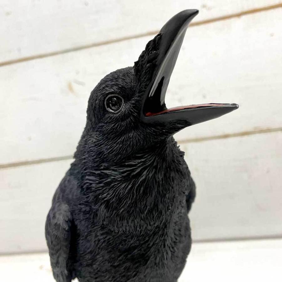 ペットバンク クロウ Jungle カラス グッズ 置物 オブジェ 貯金箱 Mg 雑貨屋フリー 通販 Yahoo ショッピング