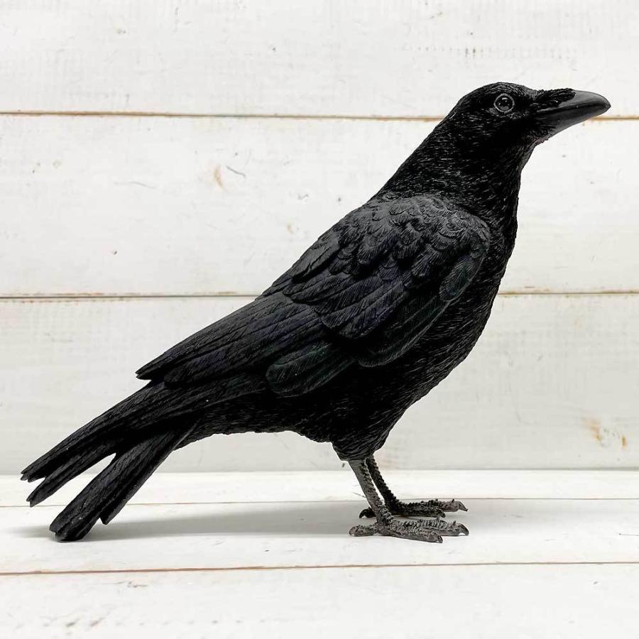あすつく あすつく ペットバンク クロウ Carrion カラス グッズ 置物 オブジェ 貯金箱 Mg 雑貨屋フリー 通販 Yahoo ショッピング