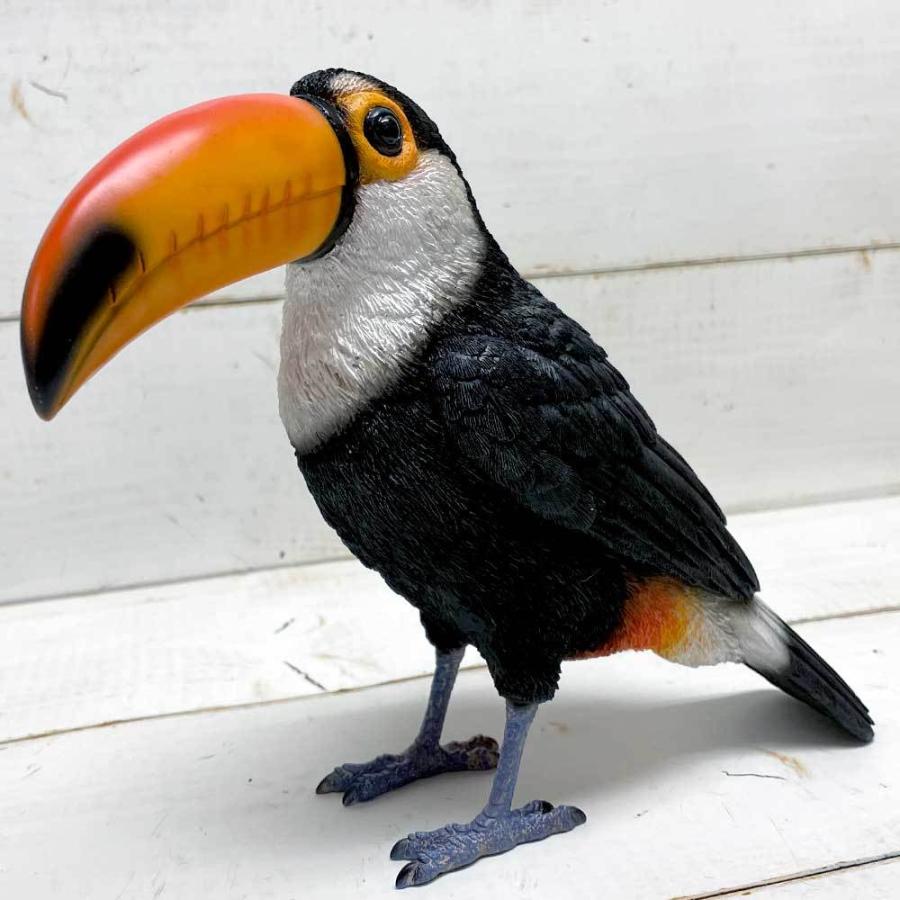 ペットバンク トーカン オオハシ 鳥 置物 飾り オブジェ フィギュア おもしろ 貯金箱 Mg 雑貨屋フリー 通販 Yahoo ショッピング