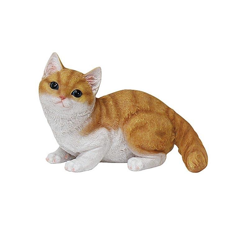 チアフルフレンズ 子猫のマル ガーデン オーナメント 動物 猫 ガーデニング オーナメント ガーデン 置物 オブジェ かわいい Mw 雑貨屋フリー 通販 Yahoo ショッピング