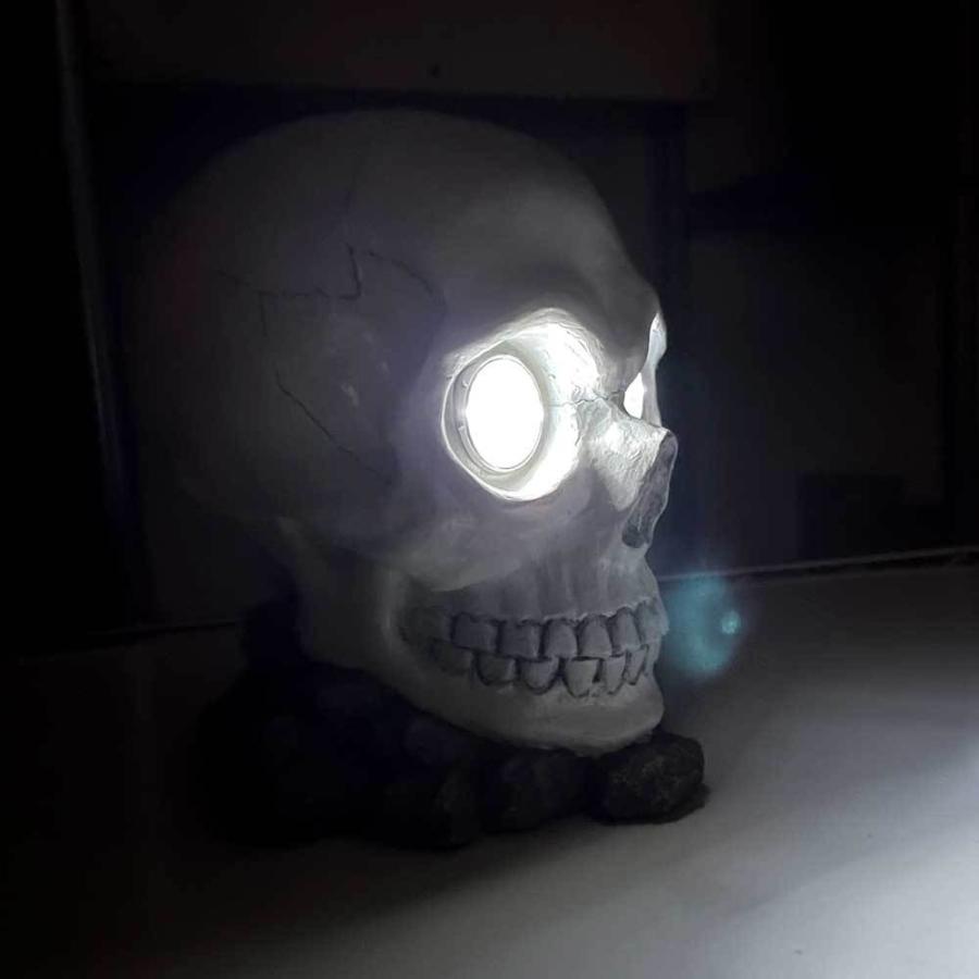 ソーラーライト スカル スカル ドクロ ソーラーライト 屋外 室内 ガーデンソーラーライト Nt Rh 629 雑貨屋フリー 通販 Yahoo ショッピング