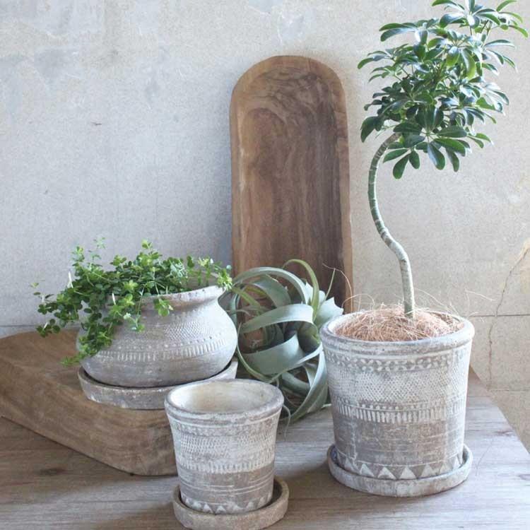 2 オリンポス ポット 植木鉢 テラコッタ 鉢 おしゃれ アンティーク Sp Ccgk19 雑貨屋フリー 通販 Yahoo ショッピング