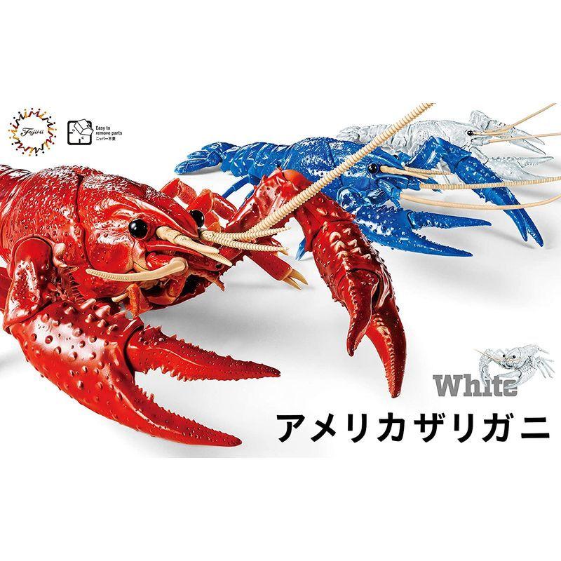 好きに Ex 2 No 24 自由研究シリーズ フジミ模型 いきもの編 自由研究 プラモデル 色分け済み ノンスケール アメリカザリガニ ホワイト その他模型 Www We Job Com