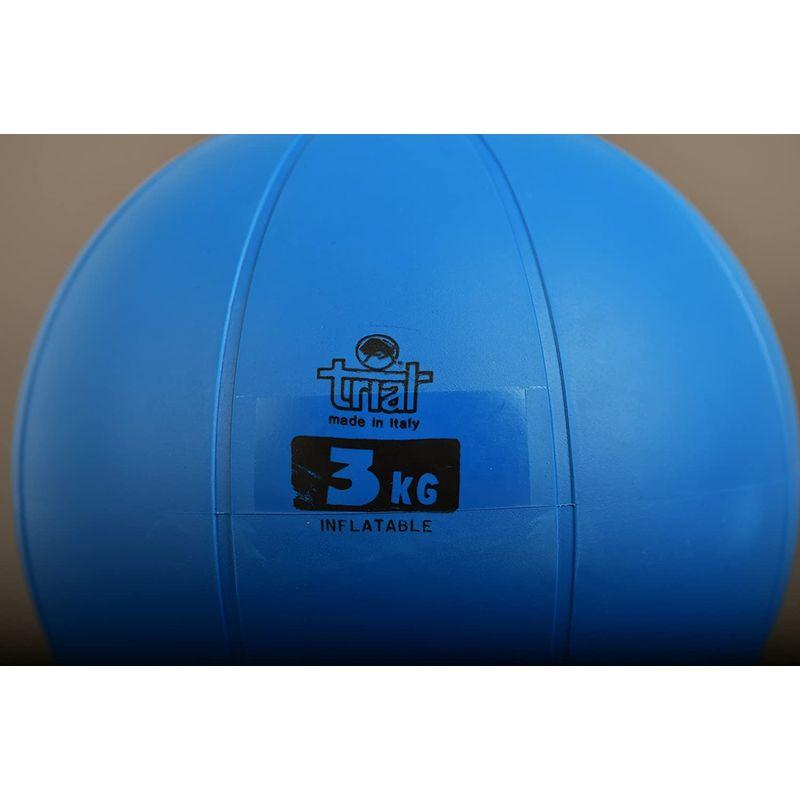 定番スタイル定番スタイルNISHI(ニシ・スポーツ) スウィングメディシンボール 3kg T5913 エクササイズグッズ 