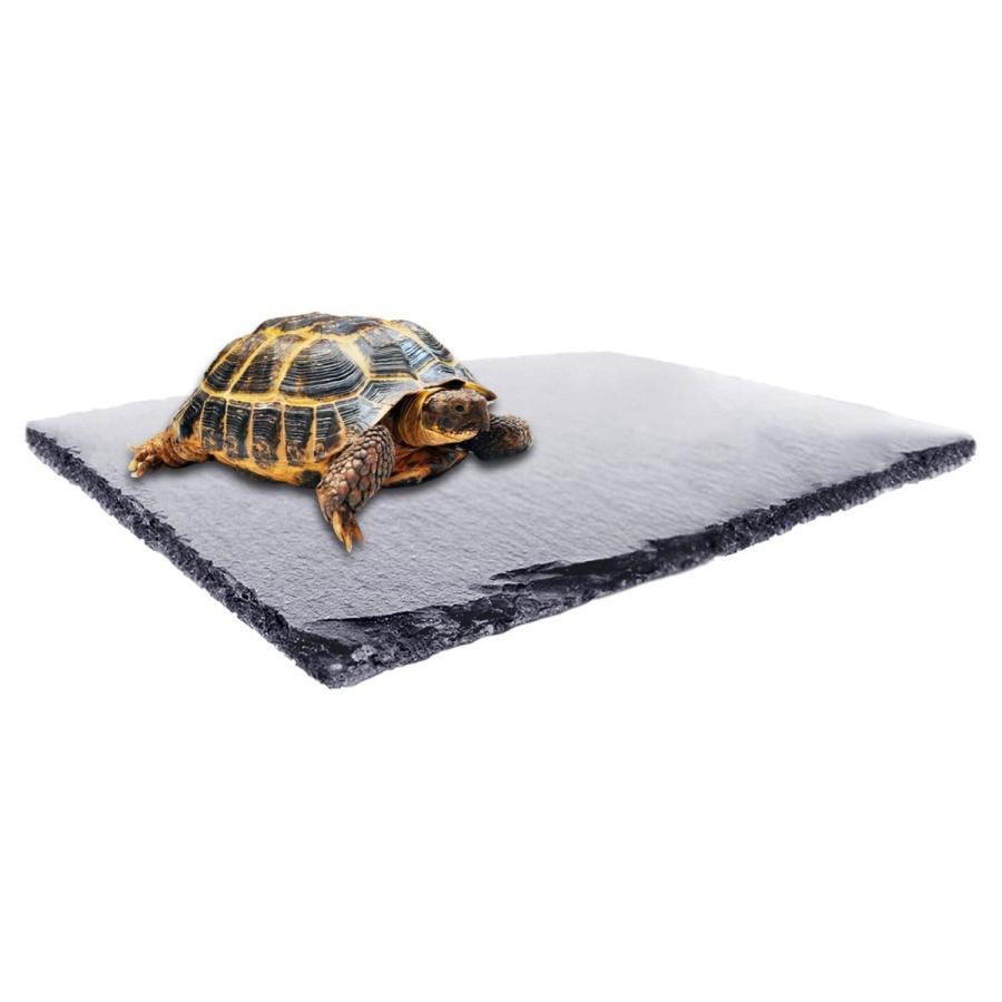 亀乾燥ボード カメ 爪を磨く パッド 保温 保湿 爬虫類の岩 溶岩 石 フードプレート 飼育ケース内装 底砂 床材 30xcm Yahoo2310 1b2o2 Joy Harmonikku 通販 Yahoo ショッピング