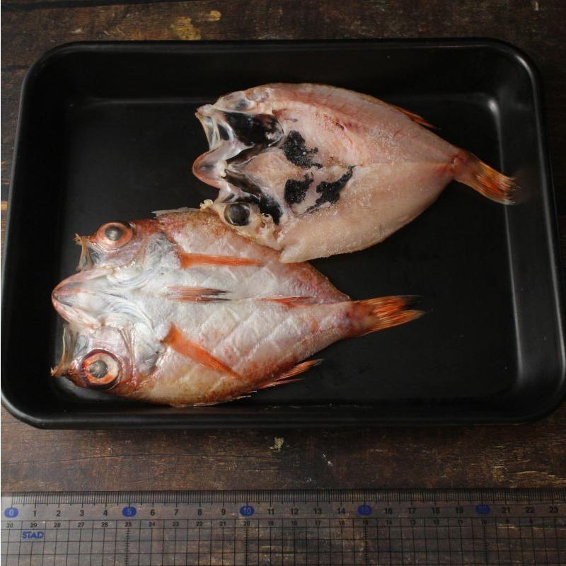 のどぐろ開き 10尾 【ざこばのびっくり市】高級魚 高級干物 白身のトロ アカムツ あかむつ ノドグロ のどくろ 干物 :hn15:ざこばの朝市オンラインショップ - 通販 - Yahoo!ショッピング のどぐろ開き 10尾 【ざこばのびっくり市】高級魚 高級干物 白身のトロ アカムツ あかむつ ノドグロ のどくろ 干物 :hn15:ざこばの朝市オンラインショップ - 通販 - Yahoo!ショッピング