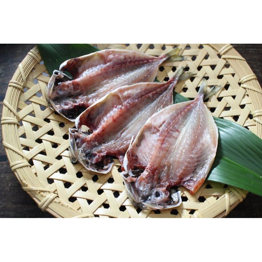 新作 大人気 長崎産 輝きアジ開き 3枚 あじ 鯵 一夜干し 干物 冷凍 Cisama Sc Gov Br
