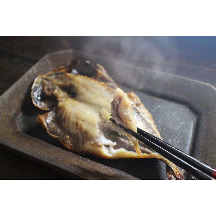 新作 大人気 長崎産 輝きアジ開き 3枚 あじ 鯵 一夜干し 干物 冷凍 Cisama Sc Gov Br