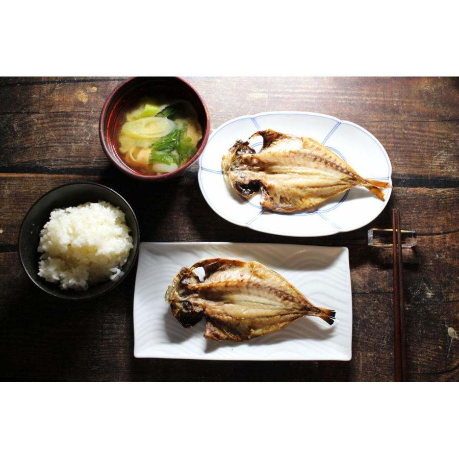 新作 大人気 長崎産 輝きアジ開き 3枚 あじ 鯵 一夜干し 干物 冷凍 Cisama Sc Gov Br
