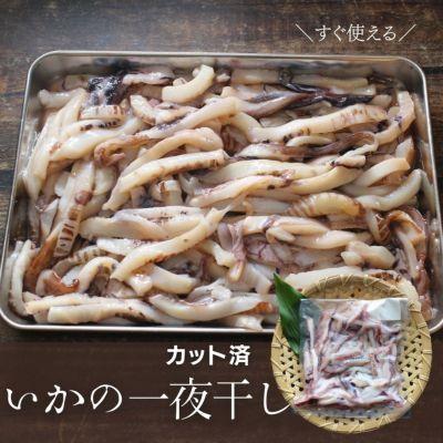国内産 お徳用 いか一夜干し500g イカ 冷凍 カット済 干物 Hn21 ざこばの朝市オンラインショップ 通販 Yahoo ショッピング