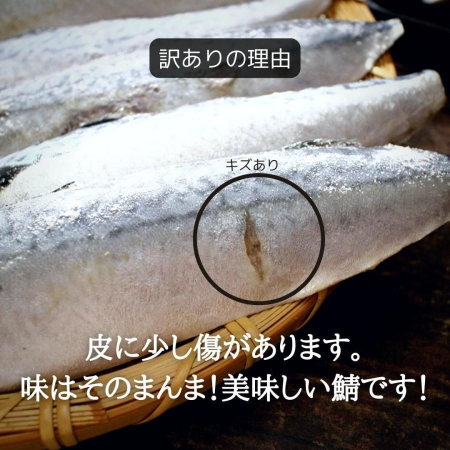 訳あり 国産サバフィーレ 約800g さば 鯖 傷あり その他魚介類、海鮮類 かえり(いりこ煮干) 180g 富澤商店 公式