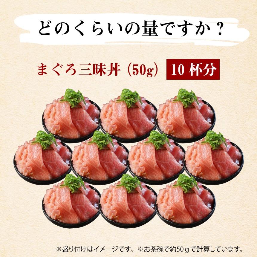 中央市場マグロ専門店 本マグロ三昧丼セット 送料無料 Ik14 ざこばの朝市オンラインショップ 通販 Yahoo ショッピング