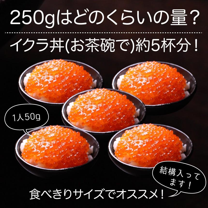 いくら 北欧サーモン 醤油漬け 250g 小粒 送料無料 Ik5 ざこばの朝市オンラインショップ 通販 Yahoo ショッピング