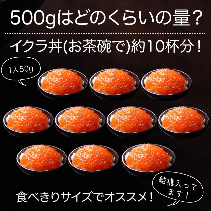 いくら 北欧サーモン 小粒 醤油漬け250ｇ 2個 500g 送料無料 Ik6 ざこばの朝市オンラインショップ 通販 Yahoo ショッピング