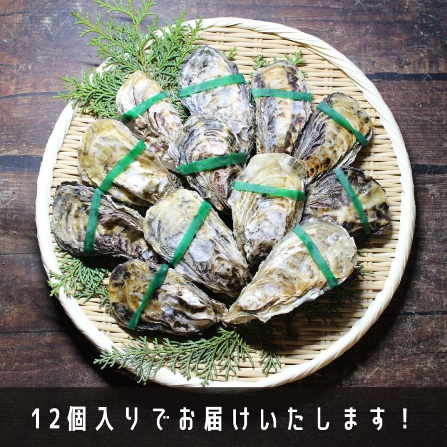 生食用 殻付きかき １ｋｇ12個入り スマートオイスター 兵庫県産 かき 牡蠣 冷凍 Ki12 ざこばの朝市オンラインショップ 通販 Yahoo ショッピング