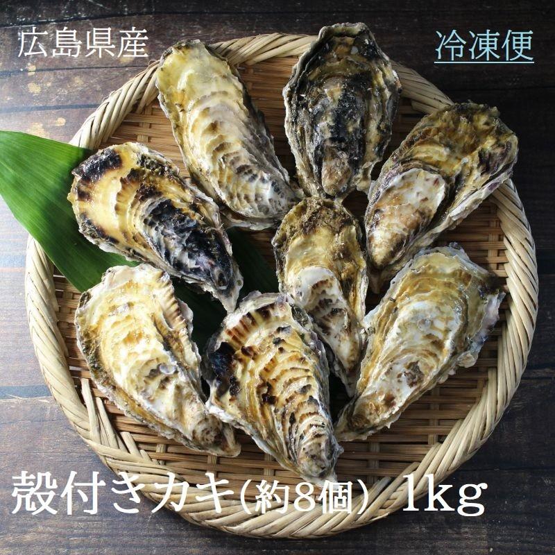 広島県産 殻付牡蠣 １ｋｇ 冷凍便 Lサイズ 約８個入り かき 牡蠣 ガンガン焼き 替え玉 q バーベキュー キャンプ 飯 Ki9 ざこばの朝市オンラインショップ 通販 Yahoo ショッピング
