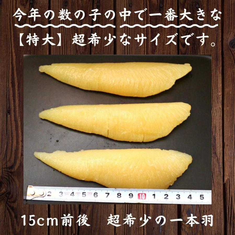 天然 塩数の子 アラスカ産 特大サイズ 500g 1本物 本ちゃん かずのこ カズノコ　大きい　最大級｜zakobashop｜04