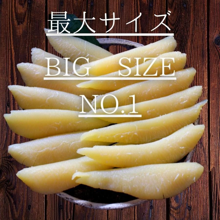 天然 塩数の子 アラスカ産 特大サイズ 500g 1本物 本ちゃん かずのこ カズノコ　大きい　最大級｜zakobashop｜08