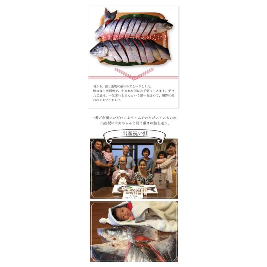 沖獲り紅鮭 一尾 約1 7kg 鮭 サケ さけ サーモン 天然 紅サケ 紅さけ ギフト プレゼント 贈答 お祝い Sk3 ざこばの朝市オンラインショップ 通販 Yahoo ショッピング