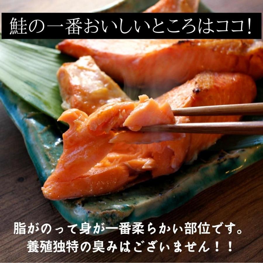 Big 銀鮭切り落とし カマ １ｋｇ 冷凍 鮭 さけ サケ かま 切落し Sk50 ざこばの朝市オンラインショップ 通販 Yahoo ショッピング