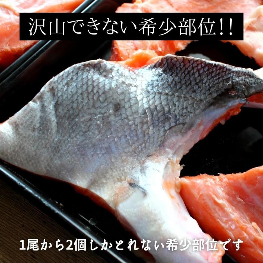 グランドセール プレミアム銀鮭特大カマ 約1 65k カマ10個入 冷凍 鮭 さけ サケ かま 切落し Supplystudies Com