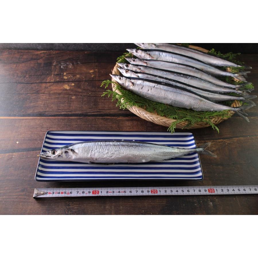 年 新物 塩さんま７尾 秋刀魚 サンマ 塩サンマ 冷凍 国産 q 焼魚 Sm1 ざこばの朝市オンラインショップ 通販 Yahoo ショッピング