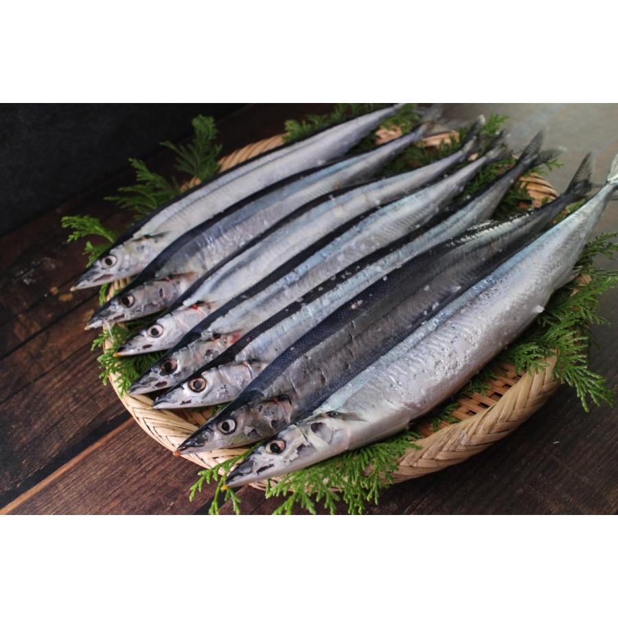 年 新物 塩さんま７尾 秋刀魚 サンマ 塩サンマ 冷凍 国産 q 焼魚 Sm1 ざこばの朝市オンラインショップ 通販 Yahoo ショッピング