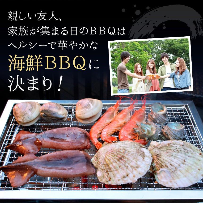 海鮮bbq ベーシックバーベキューセット 4人前 送料無料 Sp5 ざこばの朝市オンラインショップ 通販 Yahoo ショッピング