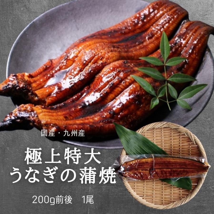 特大うなぎ蒲焼 185g 215g ｘ1本 送料無料 国産 高級 冷凍便 九州産 ベストお取り寄せ大賞 銅賞受賞 贅沢 ギフト Ug21 ざこばの朝市オンラインショップ 通販 Yahoo ショッピング
