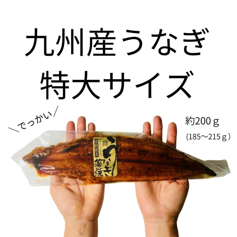 特大うなぎ蒲焼 185g 215g ｘ1本 送料無料 国産 高級 冷凍便 九州産 ベストお取り寄せ大賞 銅賞受賞 贅沢 ギフト Ug21 ざこばの朝市オンラインショップ 通販 Yahoo ショッピング
