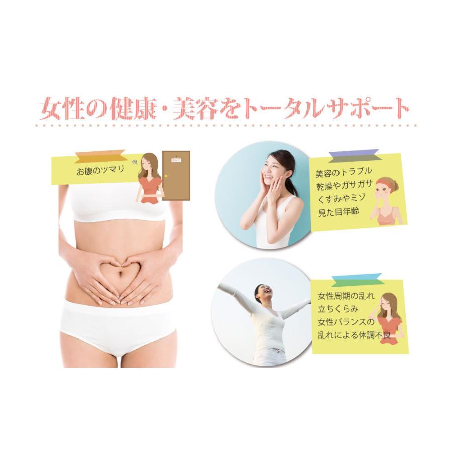 いちじくこまち 100g。無添加・農薬不使用のドライイチジクで安心安全|zakurohonpo|07