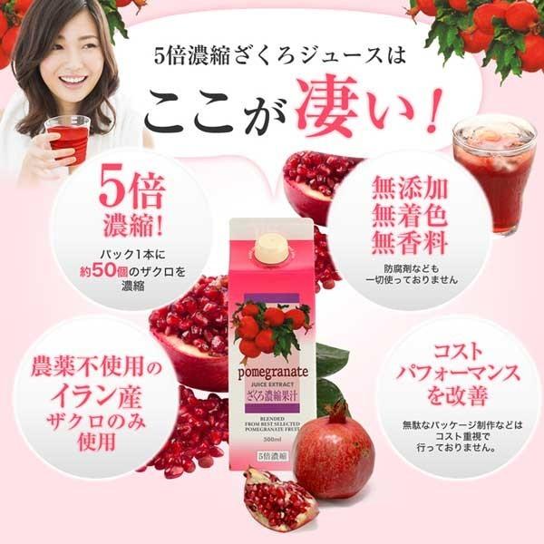 ザクロジュース　ざくろ濃縮果汁　5倍濃縮　イラン産　紙パック500ml　1本｜zakurohonpo｜04