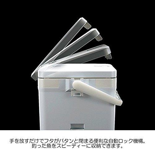 58 Off シマノ Shimano クーラーボックス 小型 12l フィクセル ライト 1lf 012n 釣り用 ライムグリーン Plannerce Ir