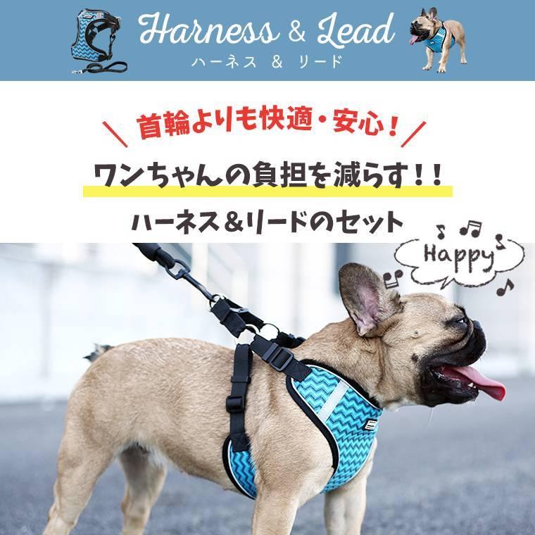 売れ筋ランキングも掲載中 ハーネス リード 小型犬 中型犬 可愛い 猫 犬 大型犬 8y60 リードセット 簡単装着 胴輪 散歩 犬具 お出かけ