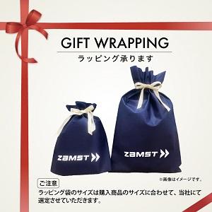 ザムスト アイスバッグL ZAMST アイシング Lサイズ ブルー ピンク 熱中