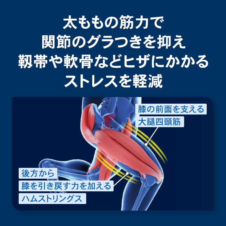 ザムスト ウエイトトレーニング 太もも用 トレーニング おもり 足