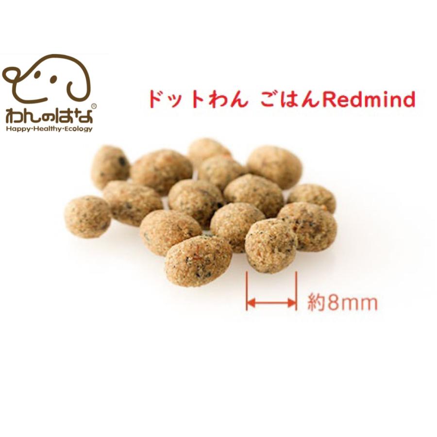 [1500円分のおまけ付！] ドットわんごはんRed mind　3kg プレミアムフード 【受注発注】｜zana-shop｜03