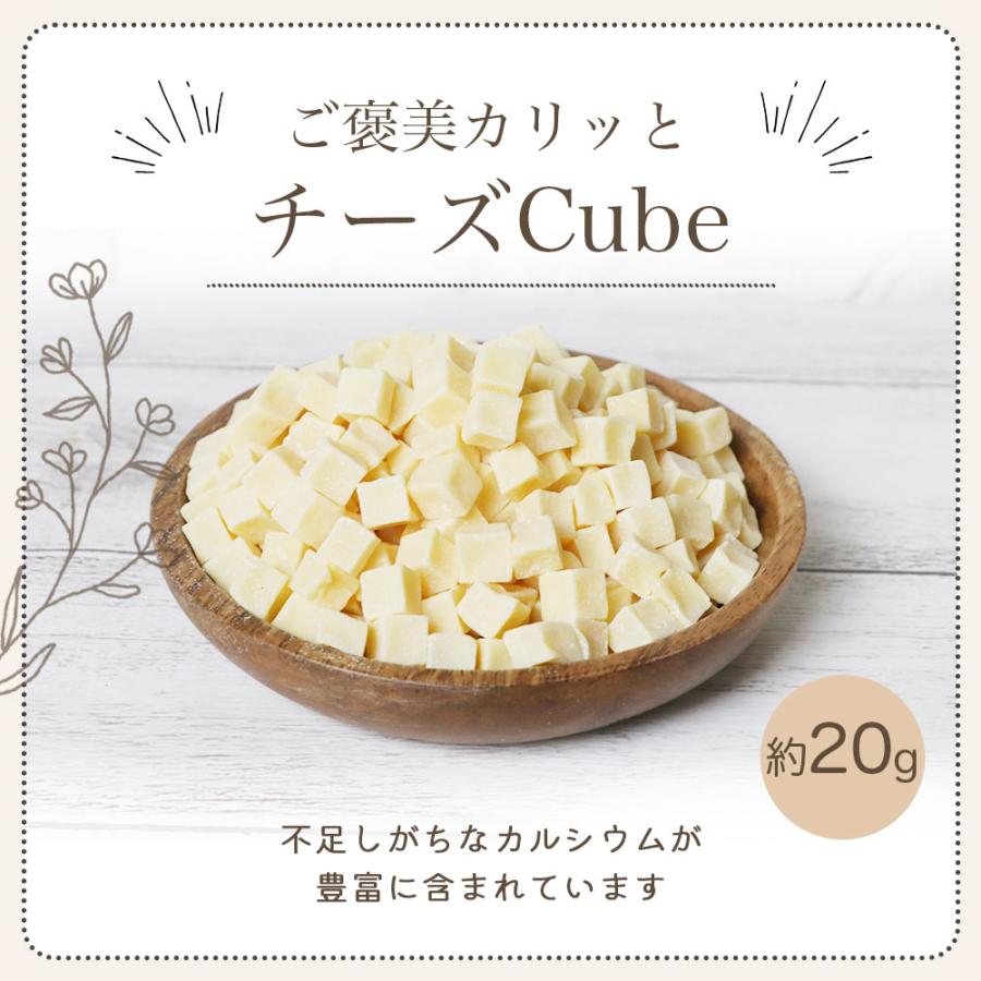 Natural Balance スイートポテト＆鹿肉 5kg 【公式認証】【直営】【正規】