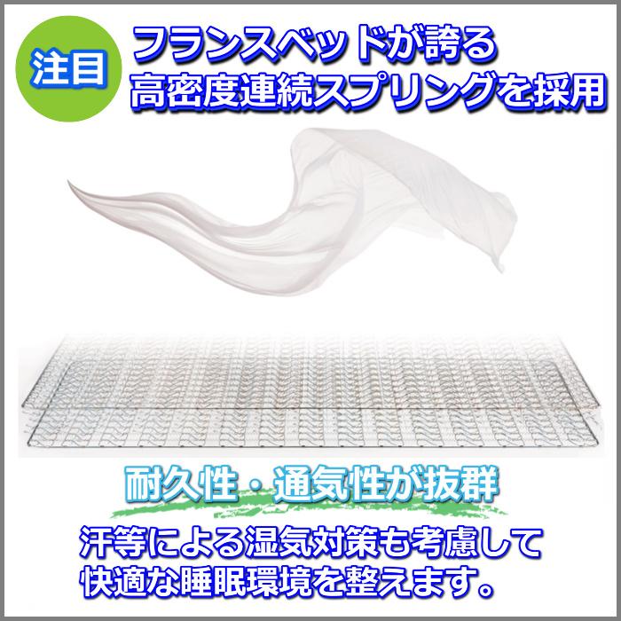 フランスベッド リクライニングマットレス Ag-BAE-RX 【送料・開