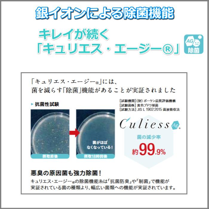 フランスベッド リクライニングマットレス Ag-BAE-RX 【送料・開