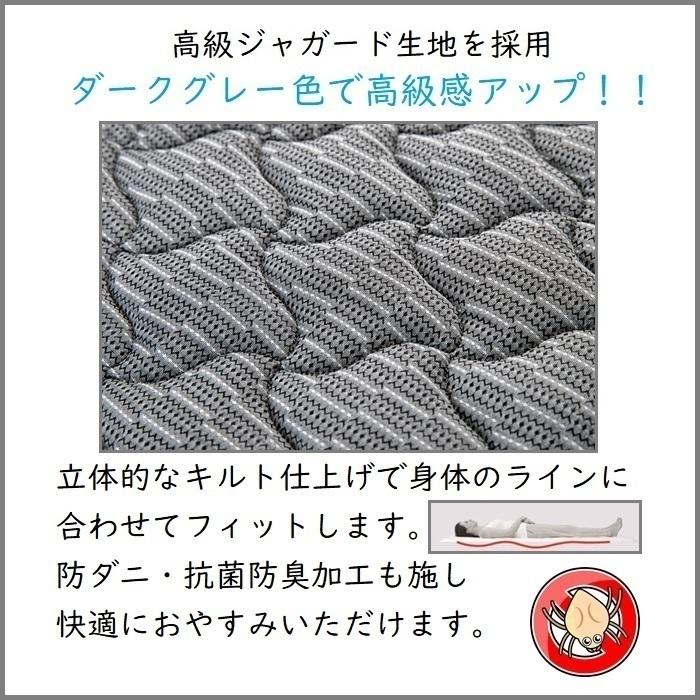 【年中無休】 フランスベッド ベッドセット特価 アニバーサリー70C DR Q 2021年秋新作TW-010α3付き【開梱組立設置無料】 マットレス2枚タイプ クイーン TW-010αスリー