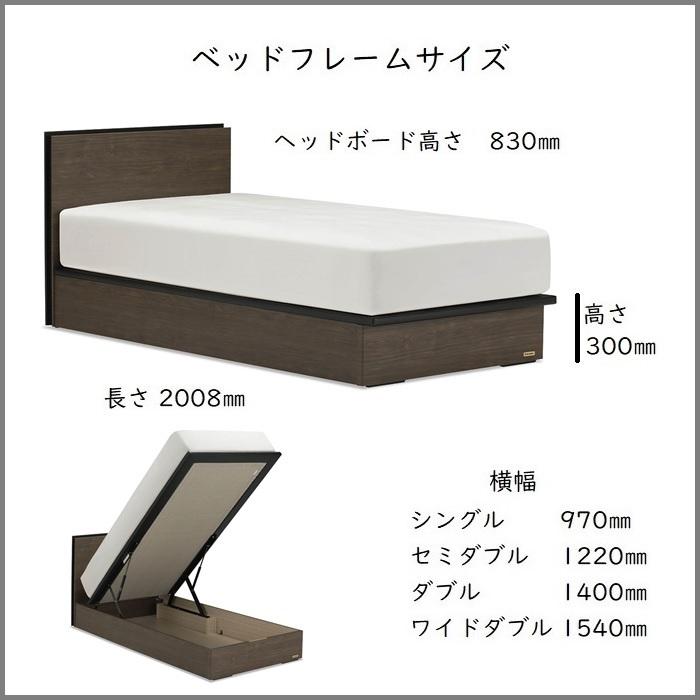 フランスベッド（FRANCEBED） ベッドフレームマットレスセット BG-002